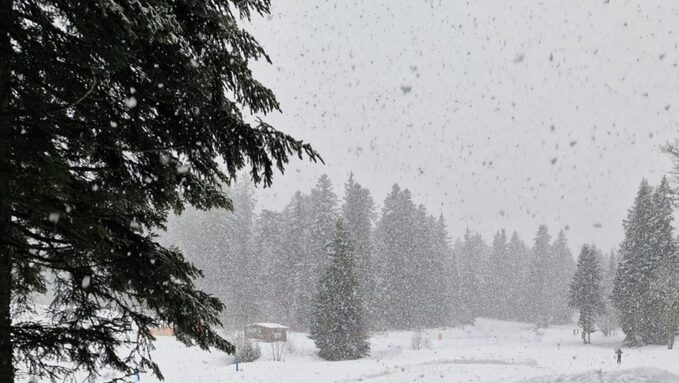 De gros flocons au col de Porte ce jeudi matin